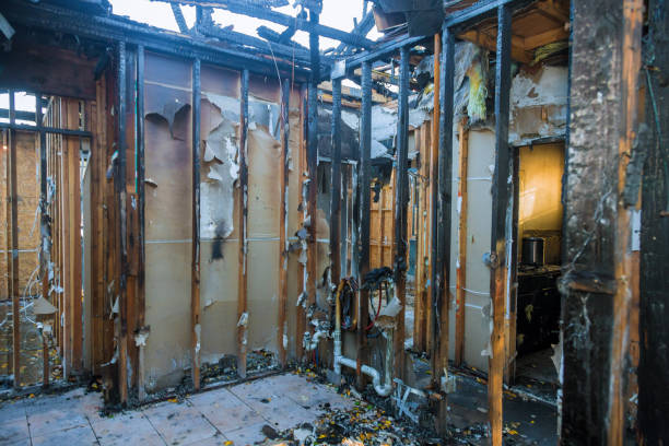Professional Structural Rebuild technician working in McLean, VA